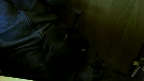 Snapshot of muller520 chatting on 03-18-26, 05:16 muller520 online show from 03-18-26, 05:16