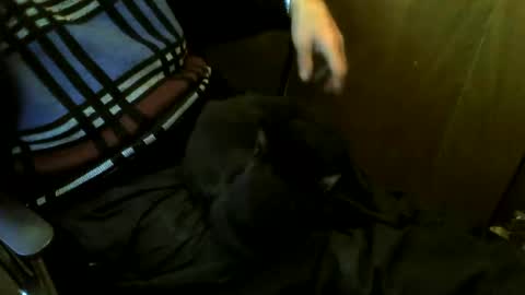 Snapshot of muller520 chatting on 03-24-26, 04:34 muller520 online show from 03-24-26, 04:34