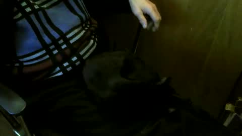 Snapshot of muller520 chatting on 03-27-26, 07:35 muller520 online show from 03-27-26, 07:35