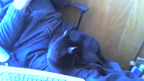 Snapshot of muller520 chatting on 04-02-26, 02:26 muller520 online show from 04-02-26, 02:26