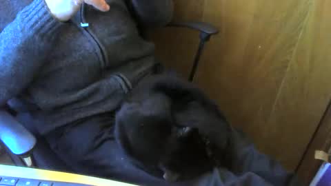 Snapshot of muller520 chatting on 04-13-26, 03:50 muller520 online show from 04-13-26, 03:50