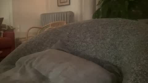 muslgut online show from 02-16-25, 03:04