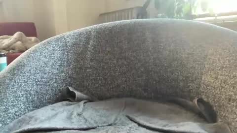 muslgut online show from 03-09-25, 07:05