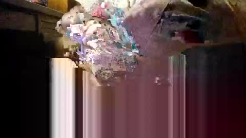 Mmmm Feels Great online show from 12-04-25, 11:19