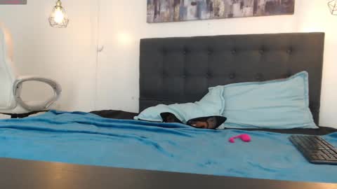 No Name online show from 01-05-25, 01:26