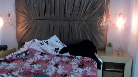 Snapshot of nai_blue chatting on 10-07-25, 03:14 nai_blue online show from 10-07-25, 03:14