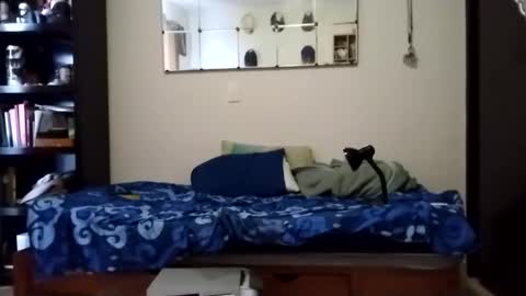 nak3d_lif3 online show from 01-21-25, 11:55