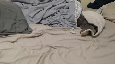 nalitonude online show from 12-23-24, 12:03