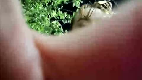 nanna_and_balder2 online show from 04-19-26, 03:28