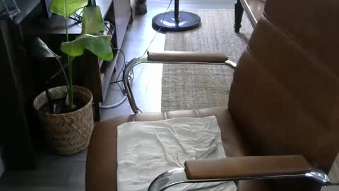 nareth338 online show from 09-19-25, 08:42