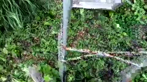 nata1974 online show from 10-18-25, 03:35