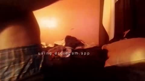 nathanbutler0 online show from 10-31-25, 05:52