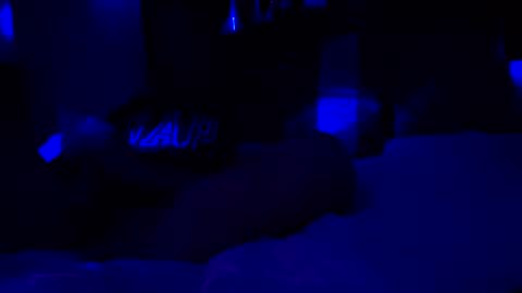 Haven online show from 01-08-26, 09:22