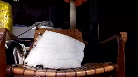 Haven online show from 04-20-26, 09:23