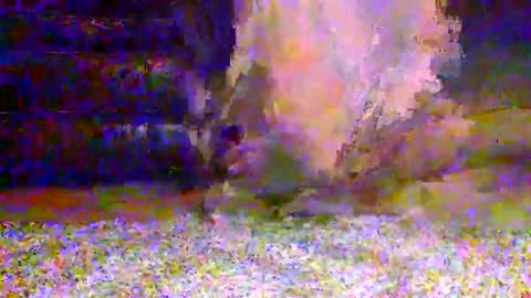 naughty__hotty online show from 03-15-26, 07:25