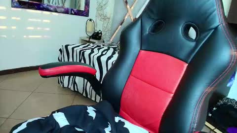 Kitten online show from 02-27-26, 11:32