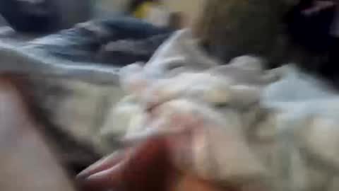 naughtyfelons6969 online show from 10-04-25, 09:07