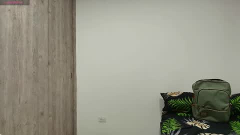 Snapshot of nayton_and_lex chatting on 11-16-25, 03:50 Naytoon online show from 11-16-25, 03:50