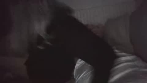 Snapshot of nchastain74 chatting on 01-30-25, 06:03 wetnikki6590 online show from 01-30-25, 06:03