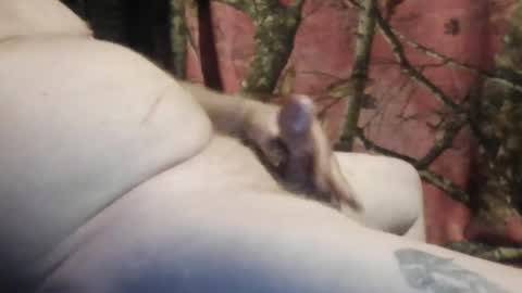 Snapshot of ned_is_naughty chatting on 03-07-26, 10:45 ned is naughty online show from 03-07-26, 10:45