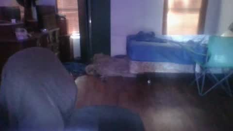 Snapshot of ned_is_naughty chatting on 06-24-26, 12:31 ned is naughty online show from 06-24-26, 12:31