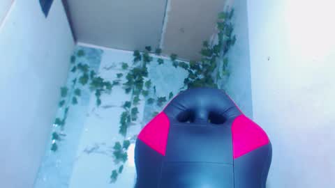 negrita online show from 02-12-26, 11:05