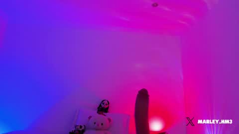 xd online show from 12-14-25, 10:25