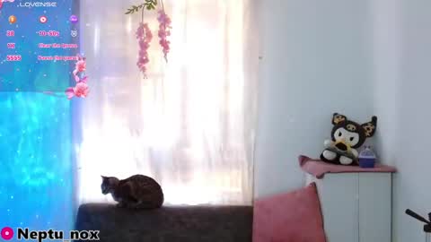 Neptu noxx online show from 01-31-25, 09:48