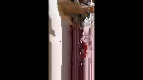 Snapshot of nermigarciaaguilar314 chatting on 06-04-26, 11:55 nermigarciaaguilar314 online show from 06-04-26, 11:55