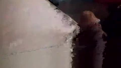 Snapshot of neverseentthatb4 chatting on 11-23-25, 09:03 Matt online show from 11-23-25, 09:03