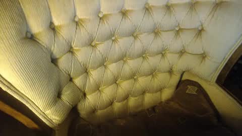 Lilly  online show from 01-25-25, 10:28