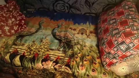 Lilly  online show from 04-10-26, 02:50