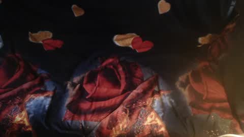 Lilly  online show from 07-02-26, 02:44