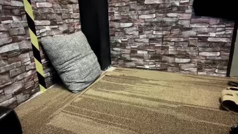 newzex66 online show from 01-23-25, 12:09