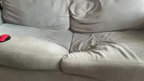 NH online show from 12-07-24, 11:51