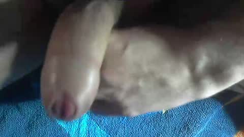 Snapshot of ni983 chatting on 12-19-24, 03:08 ni983 online show from 12-19-24, 03:08