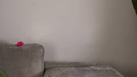 Snapshot of nia_bell chatting on 08-02-26, 04:33 kikiNiaAria online show from 08-02-26, 04:33