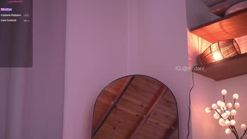 Snapshot of nicdani_1 chatting on 01-11-25, 09:25 Dani 3 online show from 01-11-25, 09:25