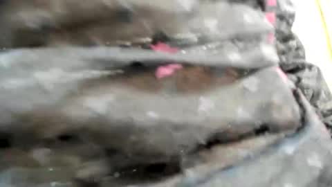 Bianca online show from 10-26-25, 09:31