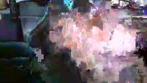 nick stavrou online show from 12-19-25, 04:19