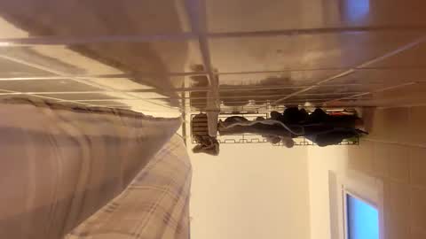 nicholasweber21 online show from 04-10-26, 11:53