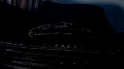 Cakedcouple  OF - Yourtattedcutie  qurlynfit online show from 09-21-25, 06:20