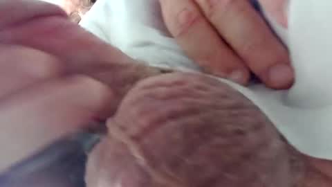 Snapshot of nickthefiddler chatting on 12-24-24, 03:05 TheCock online show from 12-24-24, 03:05