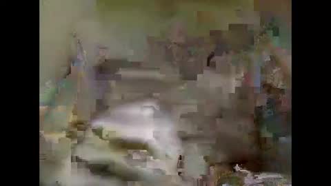 Nick online show from 01-05-25, 02:08