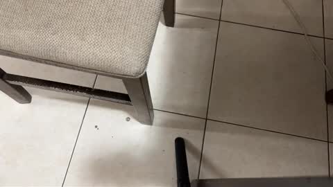 Carlos Nico online show from 03-15-26, 09:26