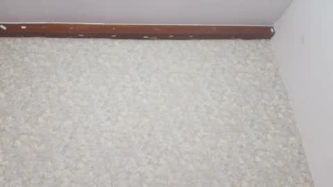 Nicol online show from 03-08-25, 07:09