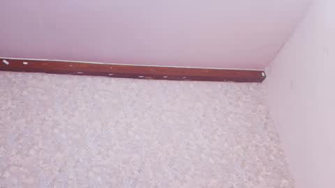 Nicol online show from 03-10-25, 07:50