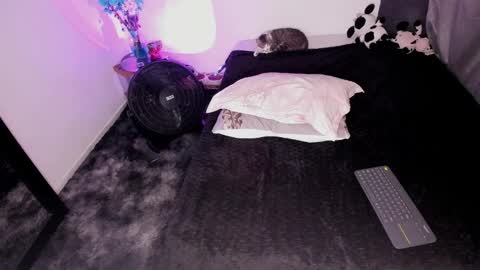 Nicol independent model online show from 02-03-25, 10:32