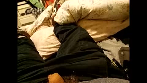 nigel1277 online show from 09-10-25, 08:36