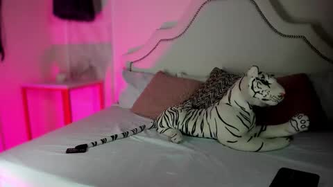 Snapshot of niicole_garnerr chatting on 02-05-26, 03:05 nicole online show from 02-05-26, 03:05